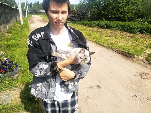 В Иванове нашлась хозяйка замурованной кошки